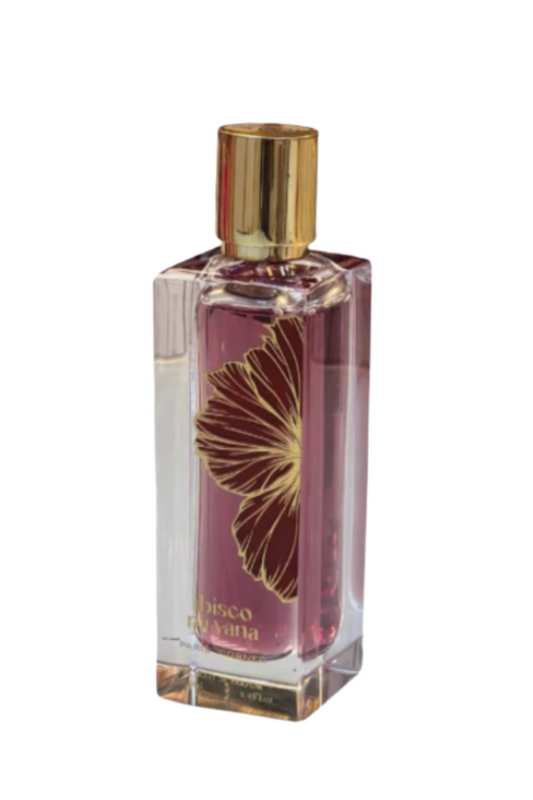 Ibisco Nirvana By Paris Corner